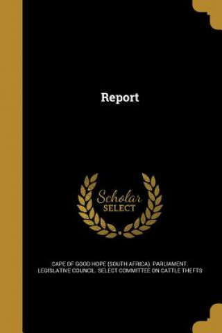 REPORT