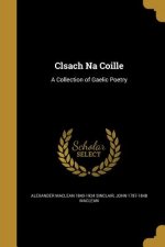 CLSACH NA COILLE