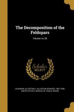 DECOMPOSITION OF THE FELDSPARS