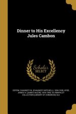 DINNER TO HIS EXCELLENCY JULES