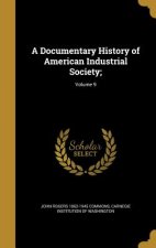 DOCUMENTARY HIST OF AMER INDUS