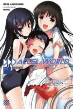 Accel World, Vol. 10 (light novel)