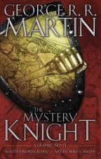 Mystery Knight: A Graphic Novel