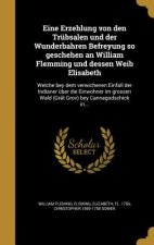 GER-EINE ERZEHLUNG VON DEN TRU