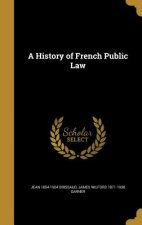 HIST OF FRENCH PUBLIC LAW