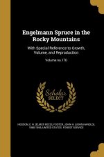 ENGELMANN SPRUCE IN THE ROCKY