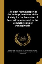 1ST ANNUAL REPORT OF THE ACTIN