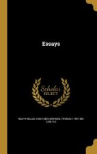 ESSAYS