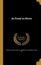 ESSAY ON BURNS