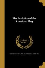 EVOLUTION OF THE AMER FLAG
