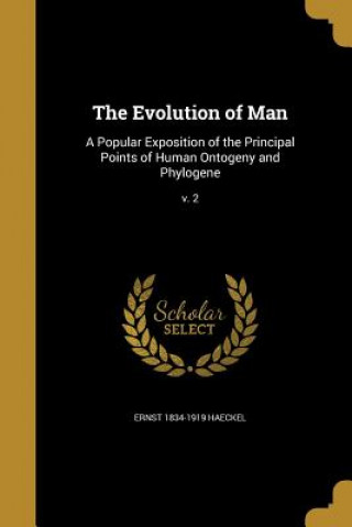 EVOLUTION OF MAN