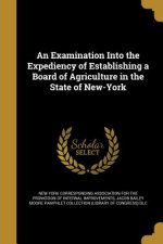EXAM INTO THE EXPEDIENCY OF ES