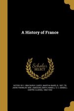 HIST OF FRANCE