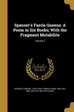 SPENSERS FAERIE QUEENE A POEM