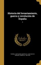 SPA-HISTORIA DEL LEVANTAMIENTO