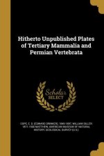 HITHERTO UNPUBLISHED PLATES OF