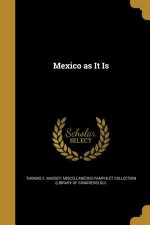MEXICO AS IT IS