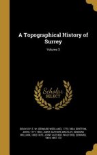 TOPOGRAPHICAL HIST OF SURREY V