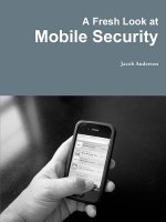 Fresh Look at Mobile Security