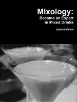 Mixology: Become an Expert in Mixed Drinks