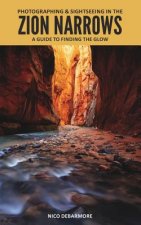 Photographing and Sightseeing in the Zion Narrows