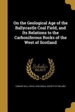 ON THE GEOLOGICAL AGE OF THE B