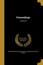 PROCEEDINGS V28