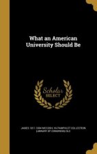 WHAT AN AMER UNIV SHOULD BE