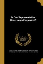 IS OUR REPRESENTATIVE GOVERNME