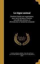 FRE-REGNE ANIMAL