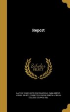 REPORT