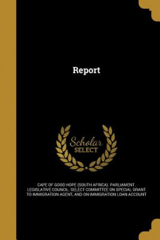REPORT