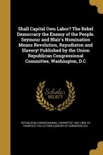 SHALL CAPITAL OWN LABOR THE RE