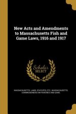 NEW ACTS & AMENDMENTS TO MASSA