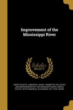 IMPROVEMENT OF THE MISSISSIPPI