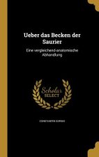 GER-UEBER DAS BECKEN DER SAURI