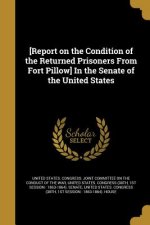 REPORT ON THE CONDITION OF THE