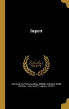 REPORT