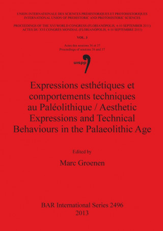Expressions esthetiques et comportements techniques au Paleolithique / Aesthetic Expressions and Technical Behaviours in the Palaeolithic Age