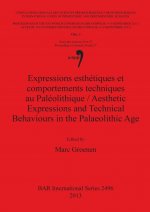 Expressions esthetiques et comportements techniques au Paleolithique / Aesthetic Expressions and Technical Behaviours in the Palaeolithic Age