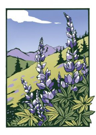 Lupines (Boxed): Boxed Set of 6 Cards