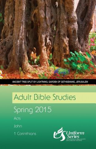 ADULT BIBLE STUDIES REGULAR PR