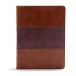 CSB Apologetics Study Bible, Mahogany Leathertouch: Black Letter, Defend Your Faith, Study Notes and Commentary, Ribbon Marker, Sewn Binding, Easy-To-