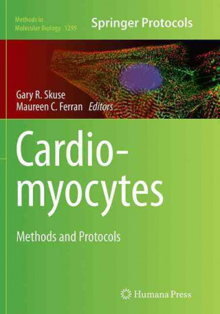 Cardiomyocytes