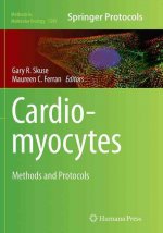 Cardiomyocytes