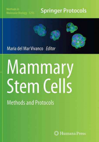 Mammary Stem Cells