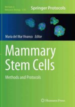 Mammary Stem Cells