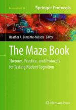 Maze Book