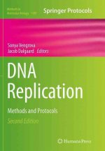 DNA Replication