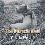 Miracle Dog